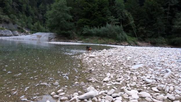 camping trip on the river 09