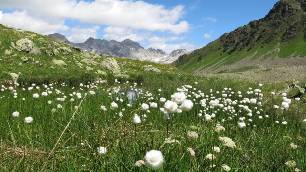 Kaltenberghütte Verwall Hiking02