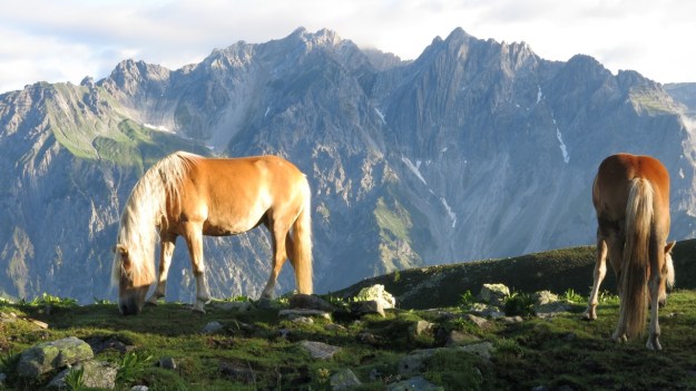 Kaltenberghütte Verwall Hiking07