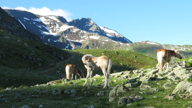 Kaltenberghütte Verwall Hiking08
