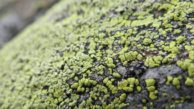 Kaltenberghütte Verwall Hiking12