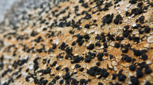 Kaltenberghütte Verwall Hiking13