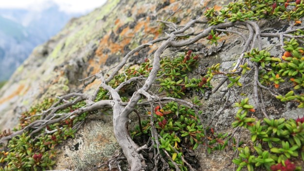 Kaltenberghütte Verwall Hiking14