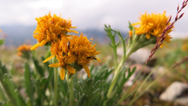 Kaltenberghütte Verwall Hiking17