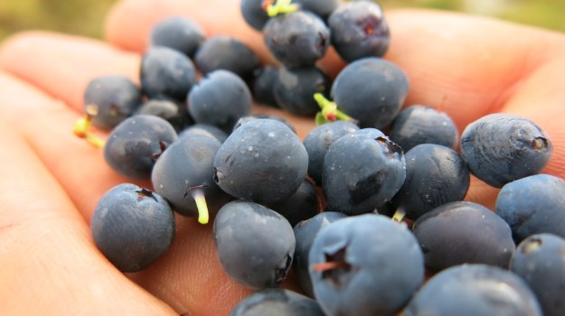 Hiking St. Anton Arlberg  088