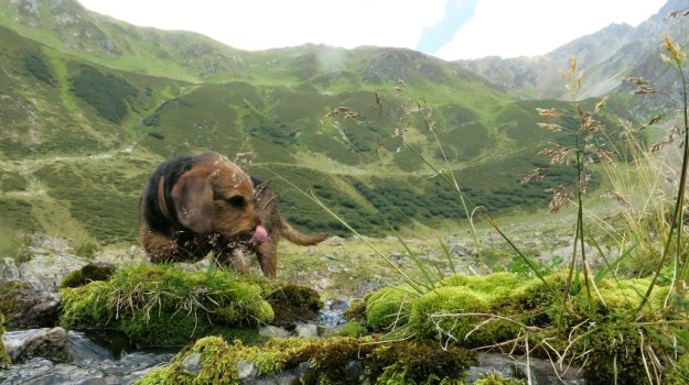 Hiking St. Anton Arlberg  094