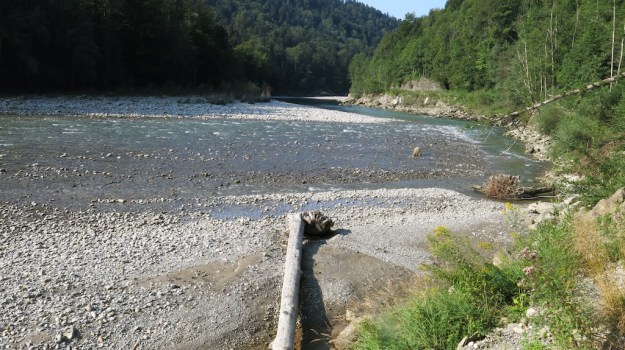 river camp and fish 046