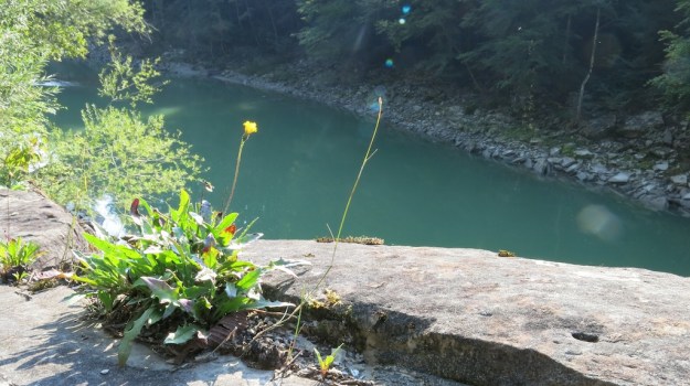 river camp and fish 047