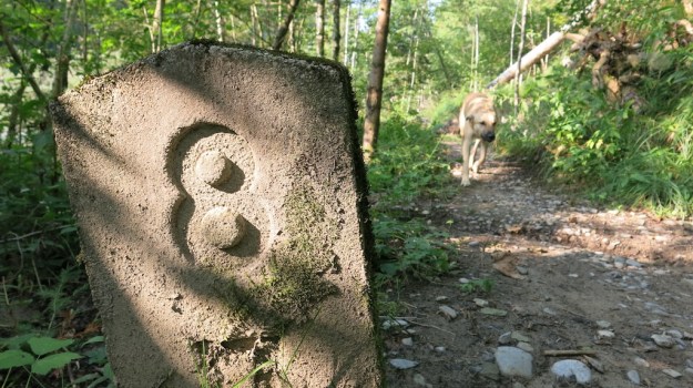 river camp and fish 049