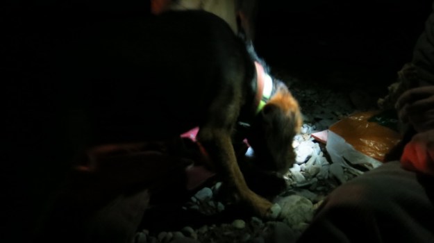 river camp and fish 053