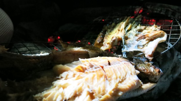 river camp and fish 054