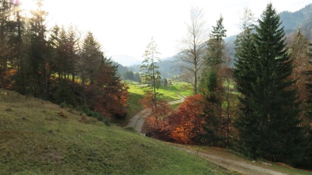 Autumn hiking with bivouac  - Trangia Alcohol Stove 836