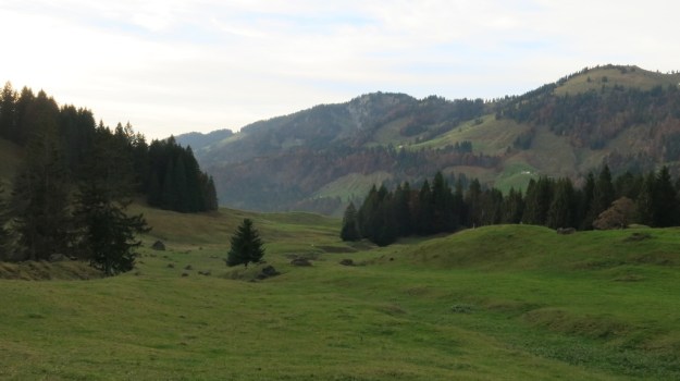 Autumn hiking with bivouac  - Trangia Alcohol Stove 837