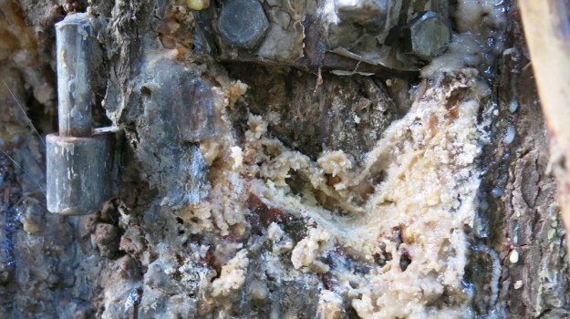 Autumn hiking with bivouac  - Trangia Alcohol Stove 838