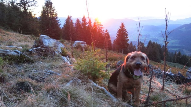 Autumn hiking with bivouac  - Trangia Alcohol Stove 841