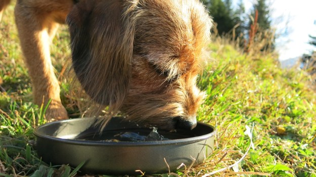 Autumn hiking with bivouac  - Trangia Alcohol Stove 866