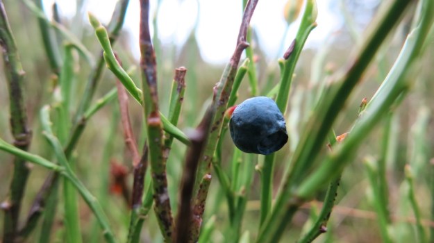 Autumn hiking with bivouac  - Trangia Alcohol Stove 869