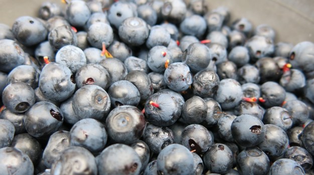 Autumn hiking with bivouac  - Trangia Alcohol Stove 870