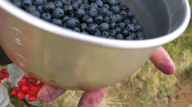 Autumn hiking with bivouac  - Trangia Alcohol Stove 871