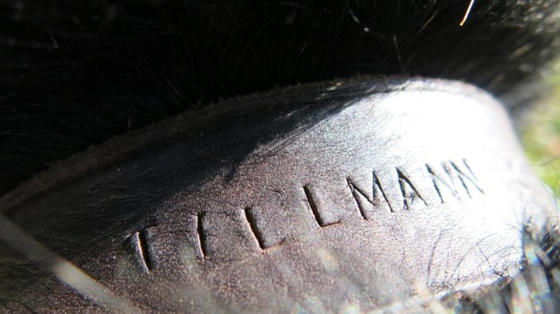 be-cause blog - handmade dog id collars 802