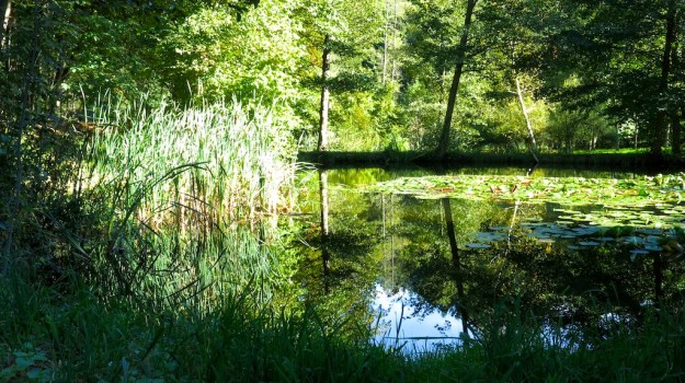 Herbstspaziergang 721