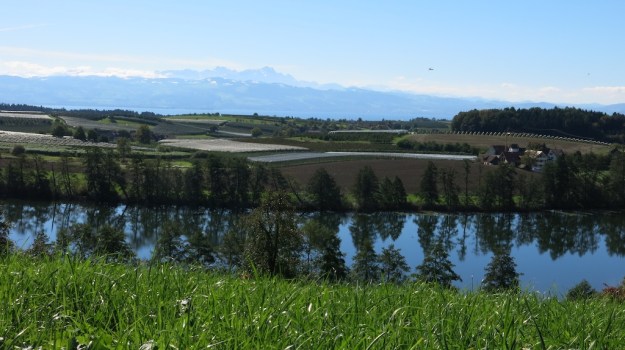 Herbstspaziergang 726