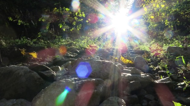 Hiking to the Sarotlahütte  787