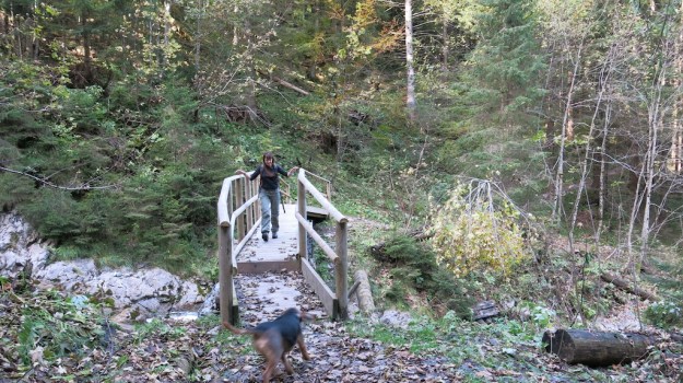 Hiking to the Sarotlahütte  789