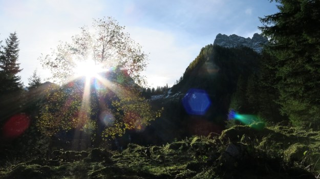 Hiking to the Sarotlahütte  791