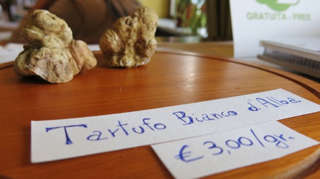 Piemont Italy 2013 916