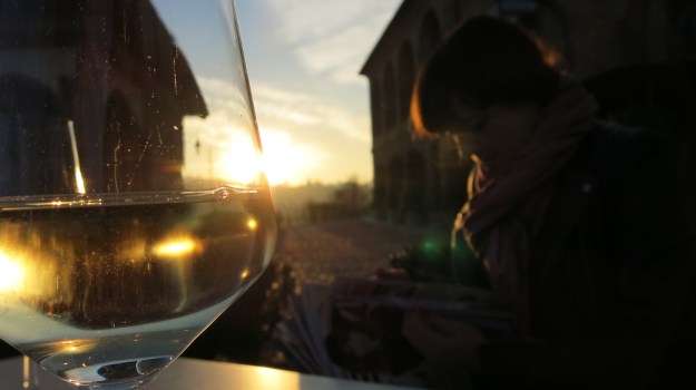 Piemont Italy 2013 917