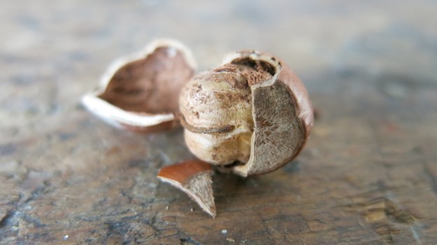 be-cause blog leather workshop ott workbench 351