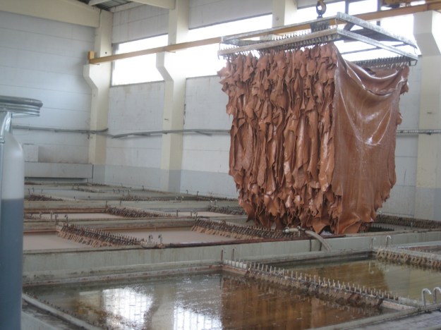 breuningerleder planzlich gegerbt (1)