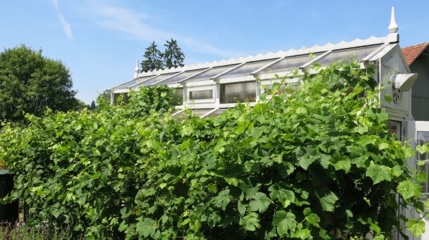 Stählemühle Monkey47 Tag der offenen Tür 2014 409