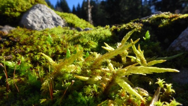 Indian Summer Trip 2014 1004