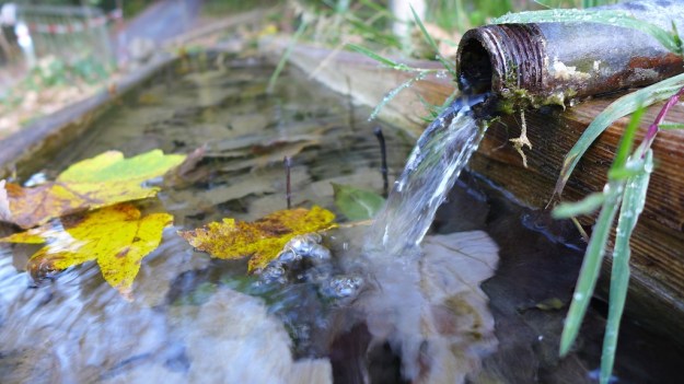 Indian Summer Trip 2014 1037