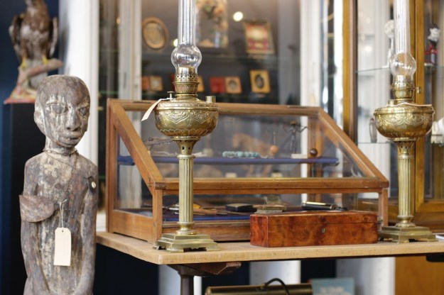 wunderkammer zürich taxidermy  4747