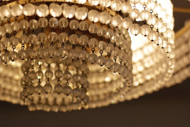 wunderkammer zürich taxidermy  4750